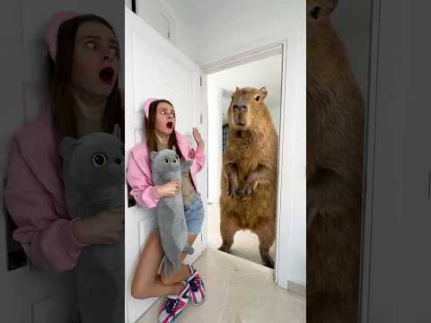 OMG Can Player escape from the Capybara? thumbnail