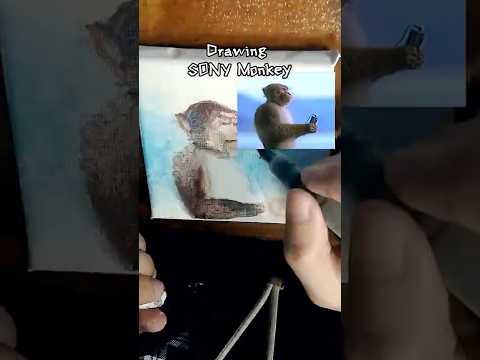 Drawing 1980's Sony Walkman Monkey thumbnail