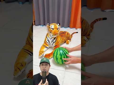 PAPA KASIH MAKAN KUCING DI RUMAH‼️? @PresentHunt #remix #dubbing #trending thumbnail