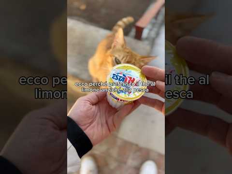 Ecco perché l’ho sempre preferito al limone rispetto a quello alla Pesca thumbnail