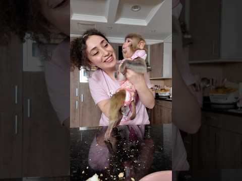 Snap: rose.alaaa thumbnail