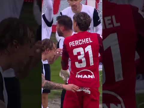 KARNY W PIASKOWNICY ZMARNOWANY PRZEZ, NOMEN OMEN, PIASECKIEGO #SHORTS thumbnail
