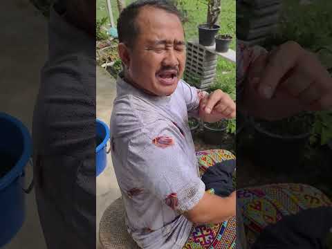 ไม่รู้เรื่องเลย🤣 #funny #ตลก thumbnail
