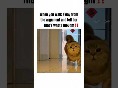 Famous last words ? #relationship #memes #marriage #marriedlife #couple #shorts #funny #love #viral thumbnail