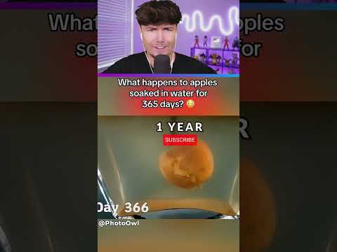 Dieser Apfel lag 1 Jahr unter Wasser … und wurde gefährlich 🤯 #shorts #memes #lustig thumbnail