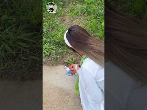 HỮU DUYÊN VẼ TRANH ĐƯỜNG PHỐ - P2 thumbnail