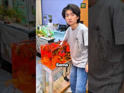 Cowok Ini Menjatuhkan Air Minum Ke Kolam Ikannya⁉️😳 thumbnail
