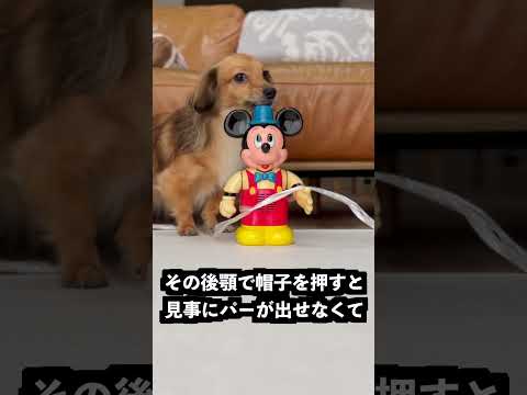 じゃんけんでチョキを出すミッキーの拳をスライムで包めば負けないはず！ thumbnail
