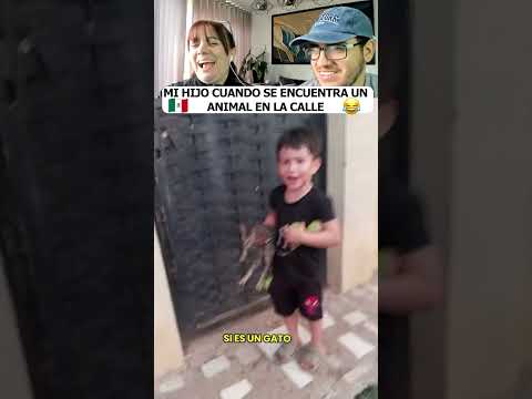 MI HIJO CUANDO SE ENCUENTRA UN ANIMAL EN LA CALLE... HUMOR MEXICANO #shorts #humor thumbnail