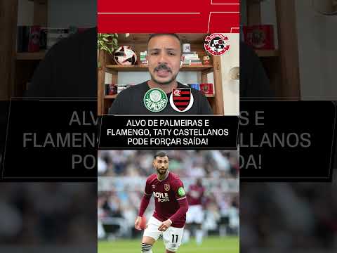 ALÔ, PALMEIRAS E FLAMENGO! #shorts thumbnail
