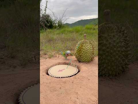 Awesome DIY Parrot Trap Using Durian Fruit And Paper #shorts thumbnail