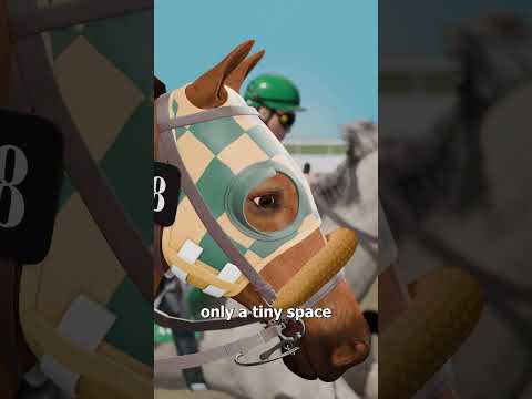 Why Horses Wear Blinkers 😨 thumbnail