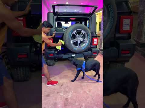 Dumbbell Tod Diya Dog ?‍??? #shortvideo #funnyvideo #comedyvideos #funny #funnyshorts thumbnail
