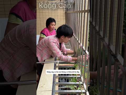 Trồng dưa hấu tầng 5 và cái kết dở khóc dở cười #shorts #funny #watermelon thumbnail