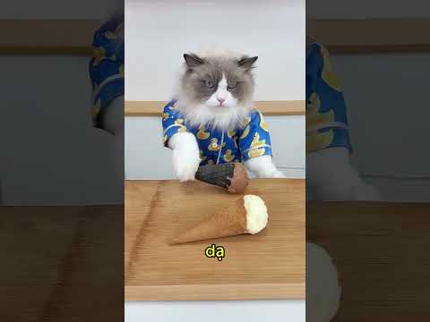 Khi mẹ cũng muốn ăn kem 😂 thumbnail
