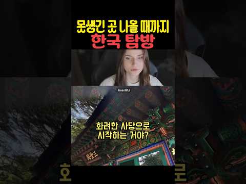 못생긴 곳 나올 때까지 한국 탐방 thumbnail