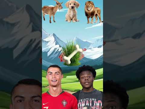 ¿Qué va a comer cada uno? ??? Ronaldo ? IShowSpeed #shortsviral #ronaldo #football  #speed #trending thumbnail