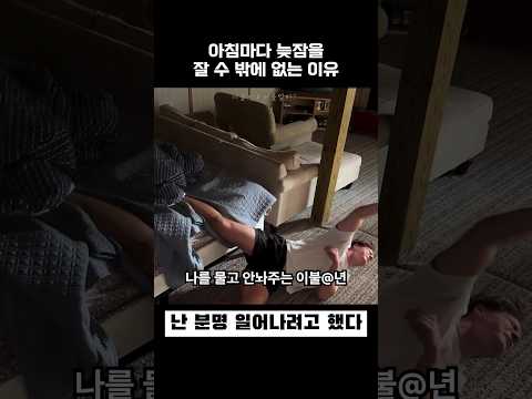 아침마다 늦잠을 잘 수 밖에 없는 이유 thumbnail