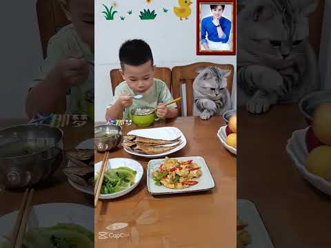 조금 나누어 먹지 왜 때려 ㅎ 야옹이 화가 단단히 났네요  야옹아 주인 머리 깨어지겠다 #하하 #배꼽빠져요 #야옹이 #cute #재미있는영상 #웃음#shorts thumbnail