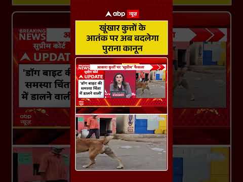 Supreme Court On Stray Dogs: खूंखार कुत्तों के आतंक पर अब बदलेगा पुराना कानून | #shortvideo thumbnail