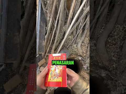 Lubang Dalam di Belakang Rumah Ini Ternyata Menyimpan Rahasia! #shortvideo #viral thumbnail