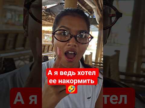 хлеб это вредно? thumbnail