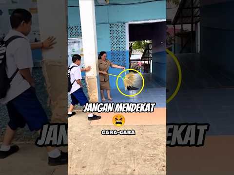 Satu Benda Ini Bikin Sekolah Panik#shortvideo thumbnail