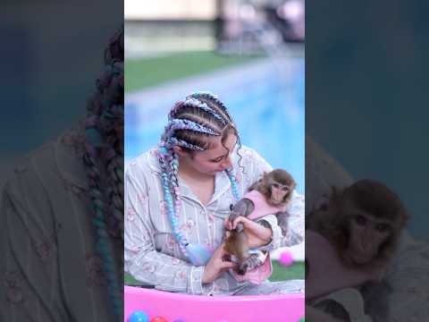شفتوا فلوق جبت حيوان غريب ❣️وفي مسابقة 500 دولار ❣️ thumbnail