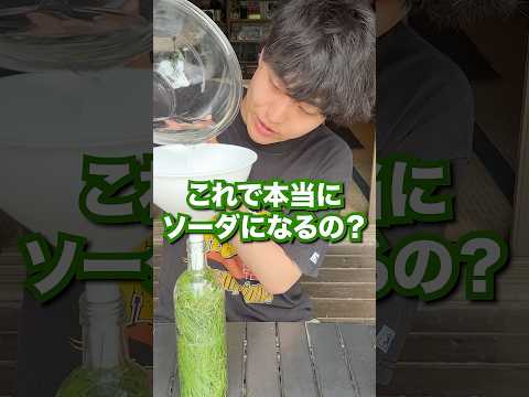 松の葉で作れる！？天然のスプライトが衝撃的な結末に…。 thumbnail