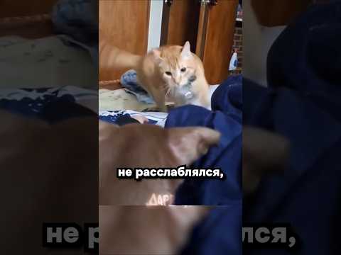 Шоб не расслаблялась thumbnail
