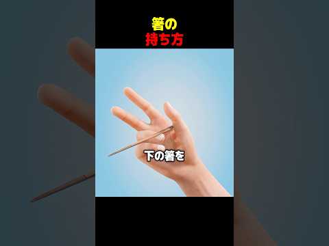 箸の持ち方 thumbnail