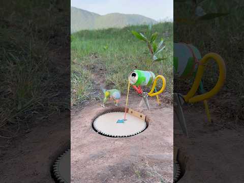 Innovative Beautiful Parrot Trap #shorts thumbnail