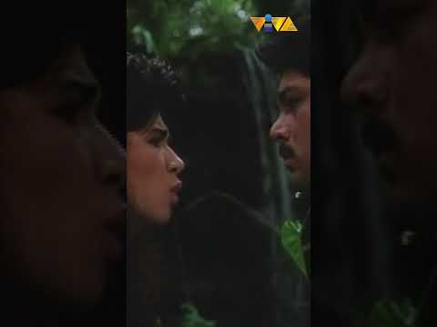 May pagbabanta pa si Christopher De Leon! #shorts #movieclips #vivafilms thumbnail