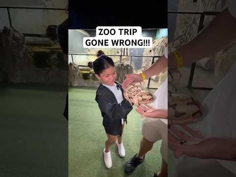 She Was Terrified Of Every Animal...😅 #shorts #fatherdaughter #zoo #funny thumbnail