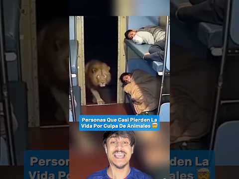 Casi Pierden La Vida Por Culpa De Animales #shorts thumbnail