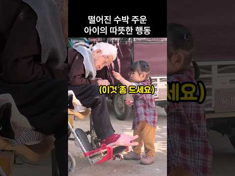 "할머니 여기요..." 떨어진 수박 주운 딸아이의 예상 밖 행동 thumbnail