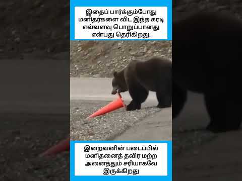 இது உண்மை வீடியோ ai இல்லை #shorts thumbnail