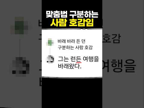 맞춤법 구분하는 사람 호감임 thumbnail