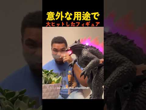 意外な用途で大ヒットしたフィギュア thumbnail