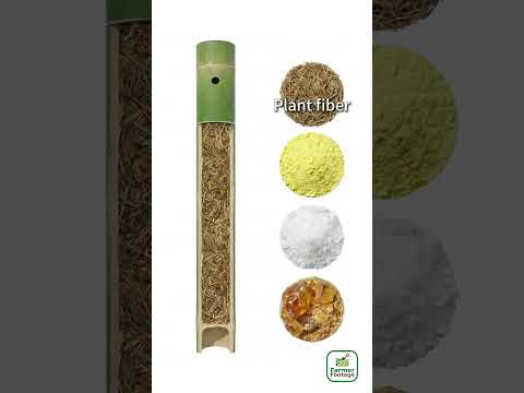 Methods Used by Ancient People to Preserve Fire thumbnail