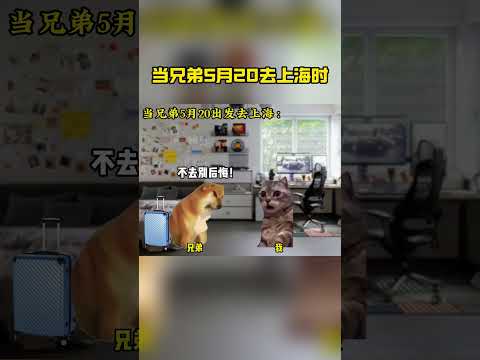 兄弟们记得别捡蛋糕吃#猫meme #520礼物 #抽象 #百万撤离 thumbnail