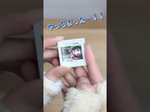 壊れたのか！？【3DS】 thumbnail
