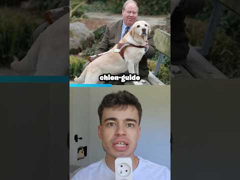 Son chien lui a sauvé la vie thumbnail