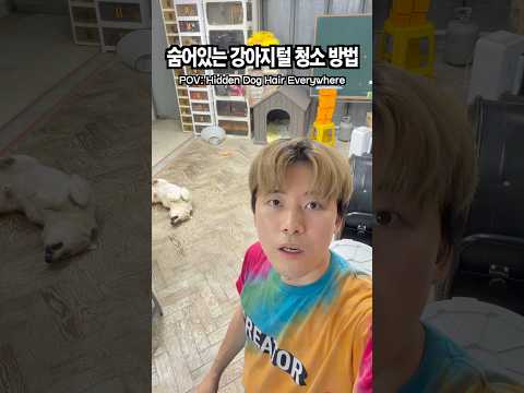 숨어있는 강아지털 청소 방법 thumbnail