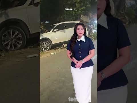 30s Nóng I Cá sấu nổi trong ao nhà dân ở Cà Mau thumbnail
