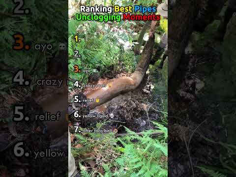 Ranking Best Pipes Unclogging Moments #usa thumbnail