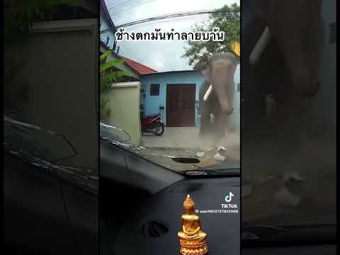 1 มิถุนายน 2569 thumbnail