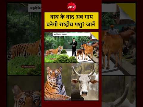 Syed Suhail | Bakrid Controversy | Tiger के बाद अब Cow बनेगी National Animal? जानें | #shorts #viral thumbnail