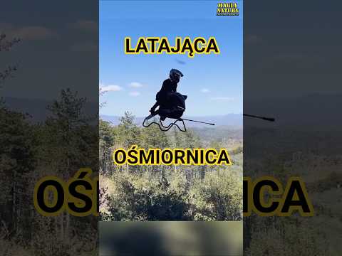 Latający Motocykl-Ośmiornica thumbnail