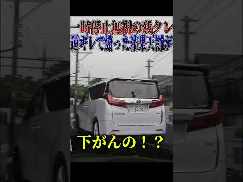 【超スカッと】一時不停止を注意され逆ギレで煽る残クレアルファードが返り討ちにされてワロタ???#shorts thumbnail